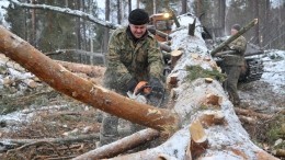 Фото: «ИПэшник» попытался свалить задачи своей фирмы на мастеров с YоuDo