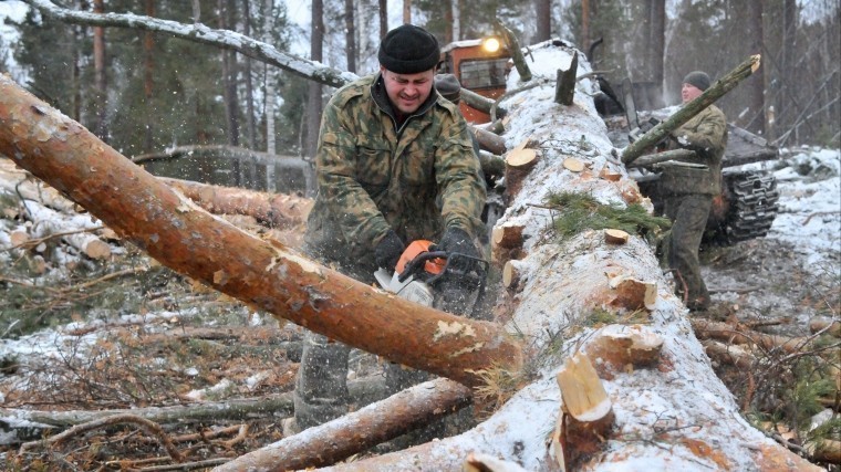 Фото: «ИПшник» попытался свалить задачи своей фирмы на мастеров с YоuDo