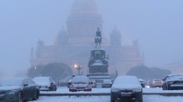 Синоптик рассказал о погоде в Петербурге в предпраздничную неделю и 8 марта