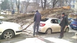 Видео: Что натворил ураган в Ростове-на-Дону