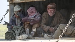Видео: более 500 боевиков ИГ* сдались в Сирии