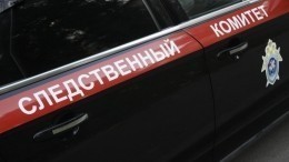 СК подтвердил предъявление обвинения Арашукову-старшему в хищениях