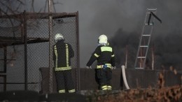 Видео: Серебряный бор полыхает в Москве