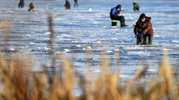 Со льда Финского залива спасены почти сто рыбаков