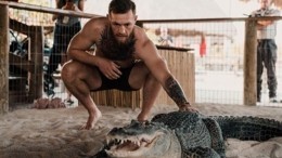 Дергает за хвосты: Конор Макгрегор «потренировался» на крокодилах — фото