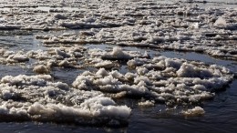 Трое человек провалились под лед в пригороде Петербурга