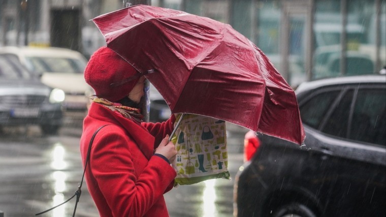 Уровень «желтый»: Гидрометцентр предупредил об опасной погоде в Петербурге