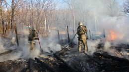 Видео: На Дальнем Востоке полыхают лесные пожары