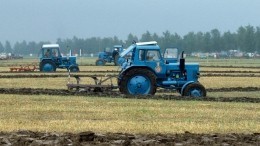 Жители Псковской области обрушились с угрозами на девочку, написавшую Путину