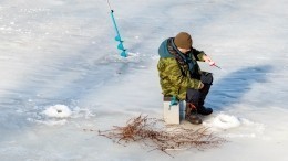 Видео: Спасатели сняли со льдины в Финском заливе сотню рыбаков