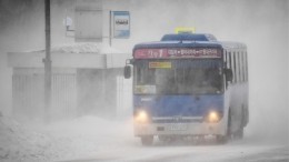 Видео: Землетрясение произошло на Камчатке