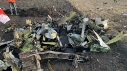 Названа предварительная причина крушения Boeing в Эфиопии — видео