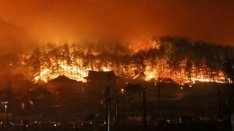 Горят целые города: В Южной Корее полыхают разрушительные пожары — репортаж