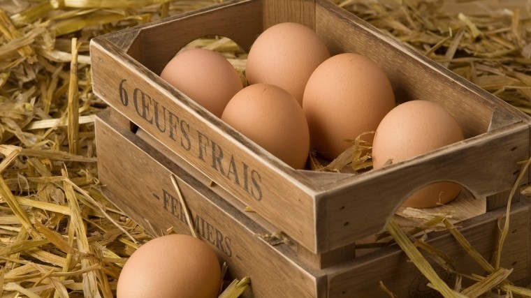 Чем грозит для здоровья ежедневное употребление куриных яиц?