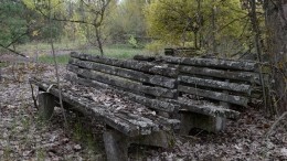 Видео: Чернобыльскую зону отчуждения в Белоруссии открыли для туристов