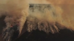 Видео: площадь лесных пожаров в России растет с пугающей скоростью