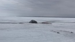 Россияне систематически продолжают нарушать запрет выхода на лед