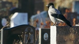 Фото: Школьники из Бурятии осквернили более тридцати могил