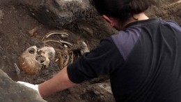 Сенсация: Найден новый вид древнего человека — видео