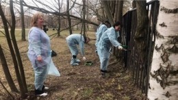 В Петербурге на весенний субботник вышла почти четверть миллиона жителей