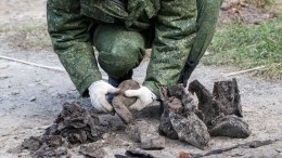 Видео: В Ленобласти обнаружено массовое захоронение советских военнопленных