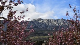 У жены Зеленского нашли пентхаус в Крыму, купленный за полцены