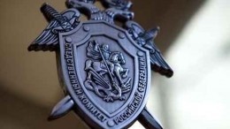 Фото: СК начал проверку по факту столкновения автомобиля с самолетом в Москве