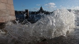 Очевидцы сообщают о падении туриста в воду в Петербурге