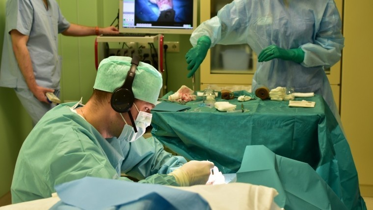 Ведущие хирурги мира обсудили методы лечения патологии кисти в Петербурге