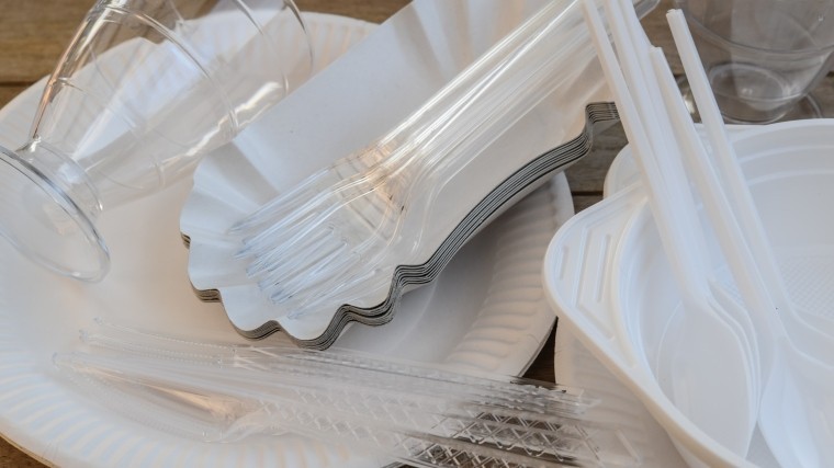 Минприроды готовит запрет на одноразовую пластиковую посуду в России