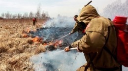 В двух районах Иркутской области ввели режим ЧС из-за природных пожаров