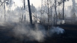 Природные пожары угрожают поселкам Курганской и Иркутской областей