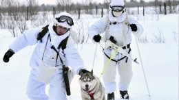 «Нелепо и абсурдно»: В МИД ответили на слова США о российской агрессии в Арктике