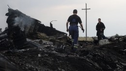 Причастность Украины к крушению MH17 допустили в Нидерландах