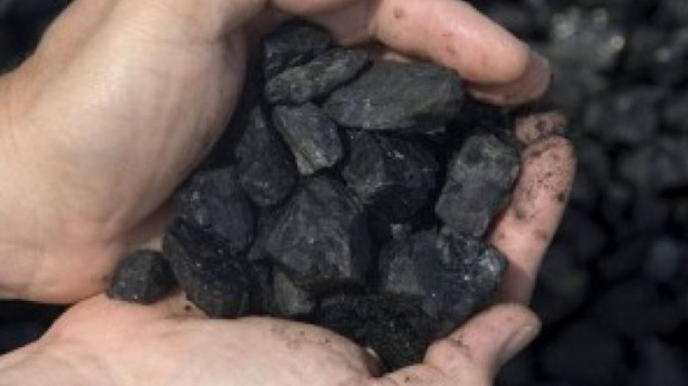Суд обязал компанию Босова выплатить 600 миллионов рублей штрафа за незаконную добычу угля