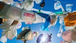 «Пакетик нужен?»: Большинство россиян готовы отказаться от пластиковых пакетов