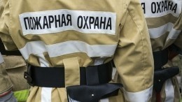 Малолетнего ребенка и мертвого мужчину обнаружили в квартире в Петербурге