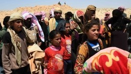 Возвращение к мирной жизни: Лагерь Харджилла в Сирии принял беженцев из Идлиба