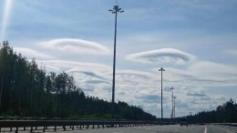Медузы, грибы или НЛО? Над Петербургом нависли необычные облака