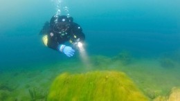 Видео: Археологи нашли на дне Черного моря «корабль Одиссея»