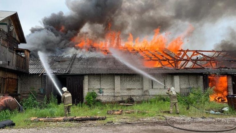 В Хабаровском крае едва не сгорела лесопилка — фото