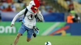 Болельщик в костюме петуха выбежал на поле матча Кубка Америки — видео