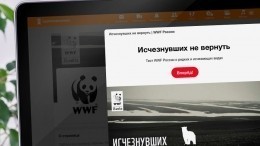 Одноклассники и WWF предложат пользователям узнать об исчезающих и редких видах животных