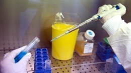 Видео: Россия представила уникальную вакцину против лихорадки Эбола