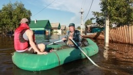 Видео: Волонтеры спасают животных из затопленных домов в Иркутской области