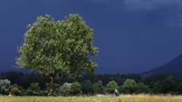 Синоптики обещают россиянам в июле осеннюю погоду