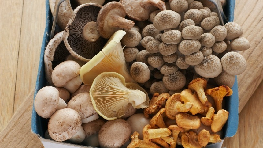 Какие грибы нужно покупать, чтобы не отравиться — советы Роспотребнадзора