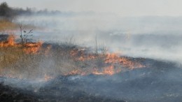 Режим ЧС введен в четырех районах Оренбургской области