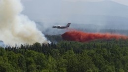 Лесные пожары в Красноярском крае: горит около 700 тысяч гектаров