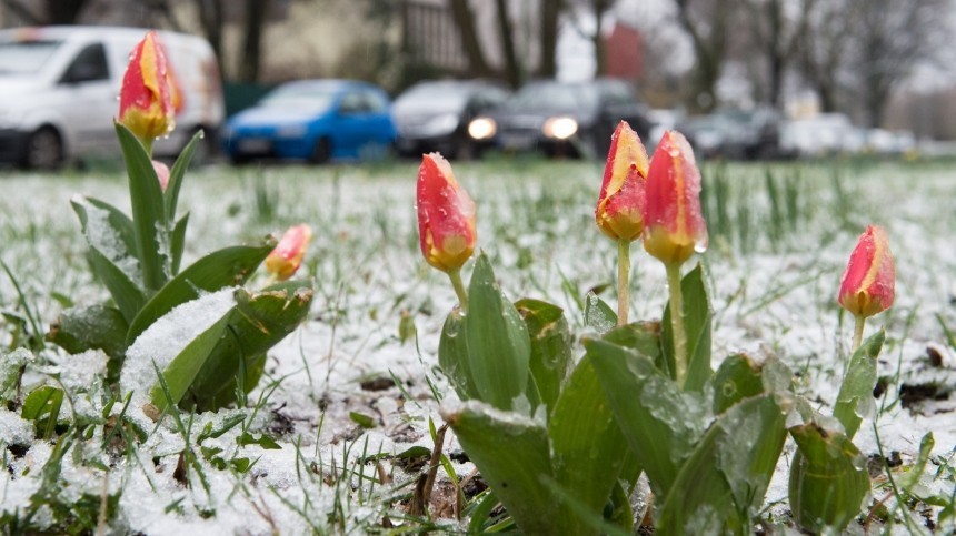 Зима близко: россиян предупредили о снеге в выходные
